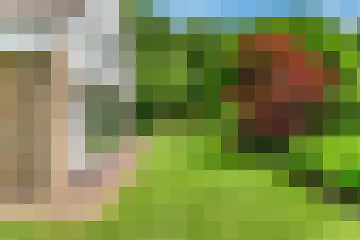 Boekanierlaan 27 Hoofddorp thumbnail 73