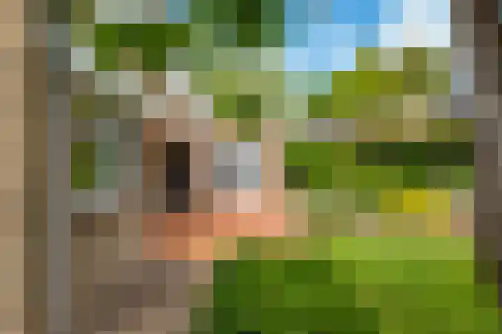 Boekanierlaan 27 Hoofddorp thumbnail 75