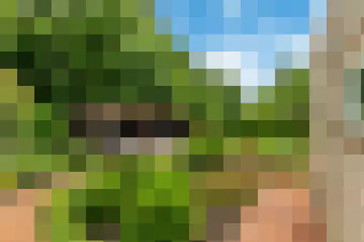 Boekanierlaan 27 Hoofddorp thumbnail 76