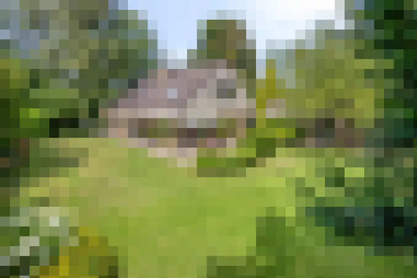 Boekanierlaan 29 in Hoofddorp