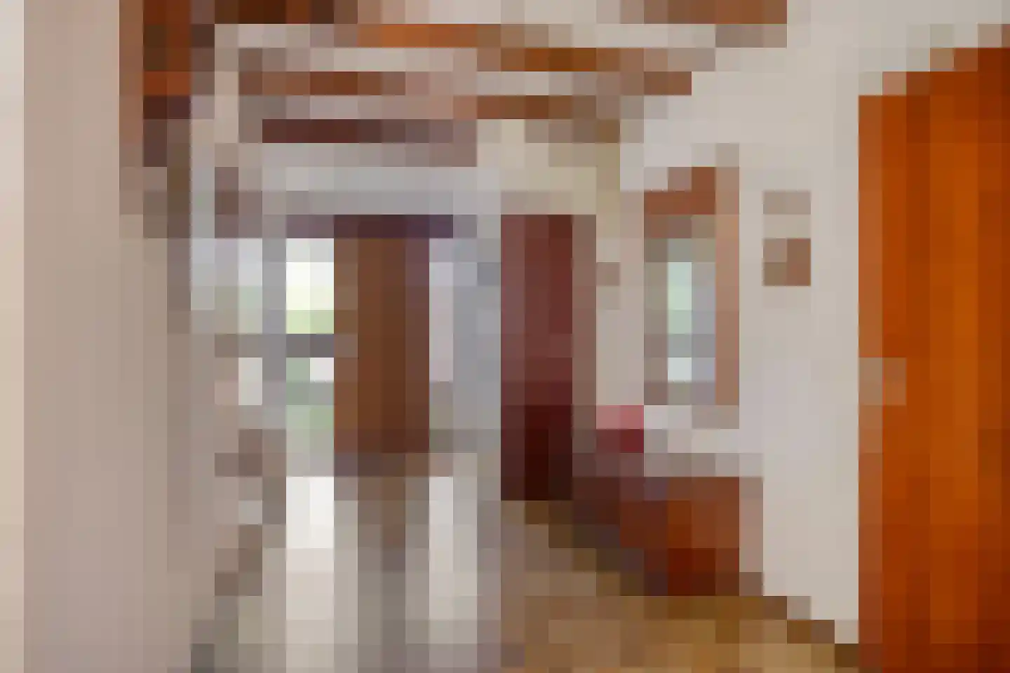 Boekanierlaan 29 Hoofddorp thumbnail 22