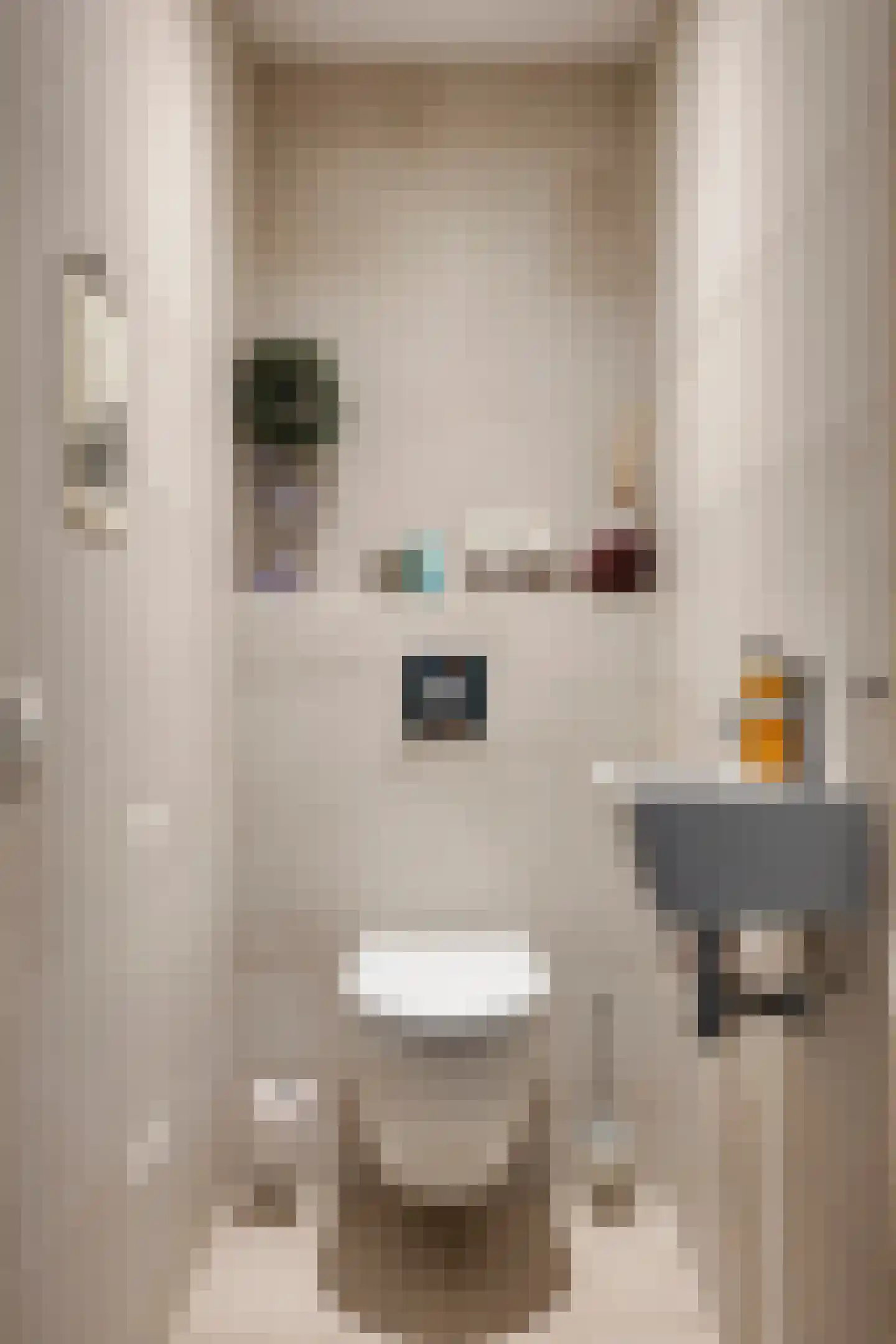 Boekanierlaan 29 Hoofddorp thumbnail 23