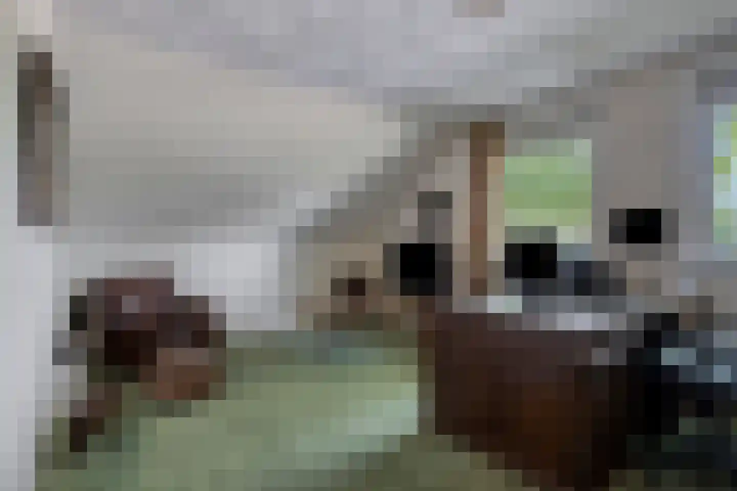 Boekanierlaan 29 Hoofddorp thumbnail 26