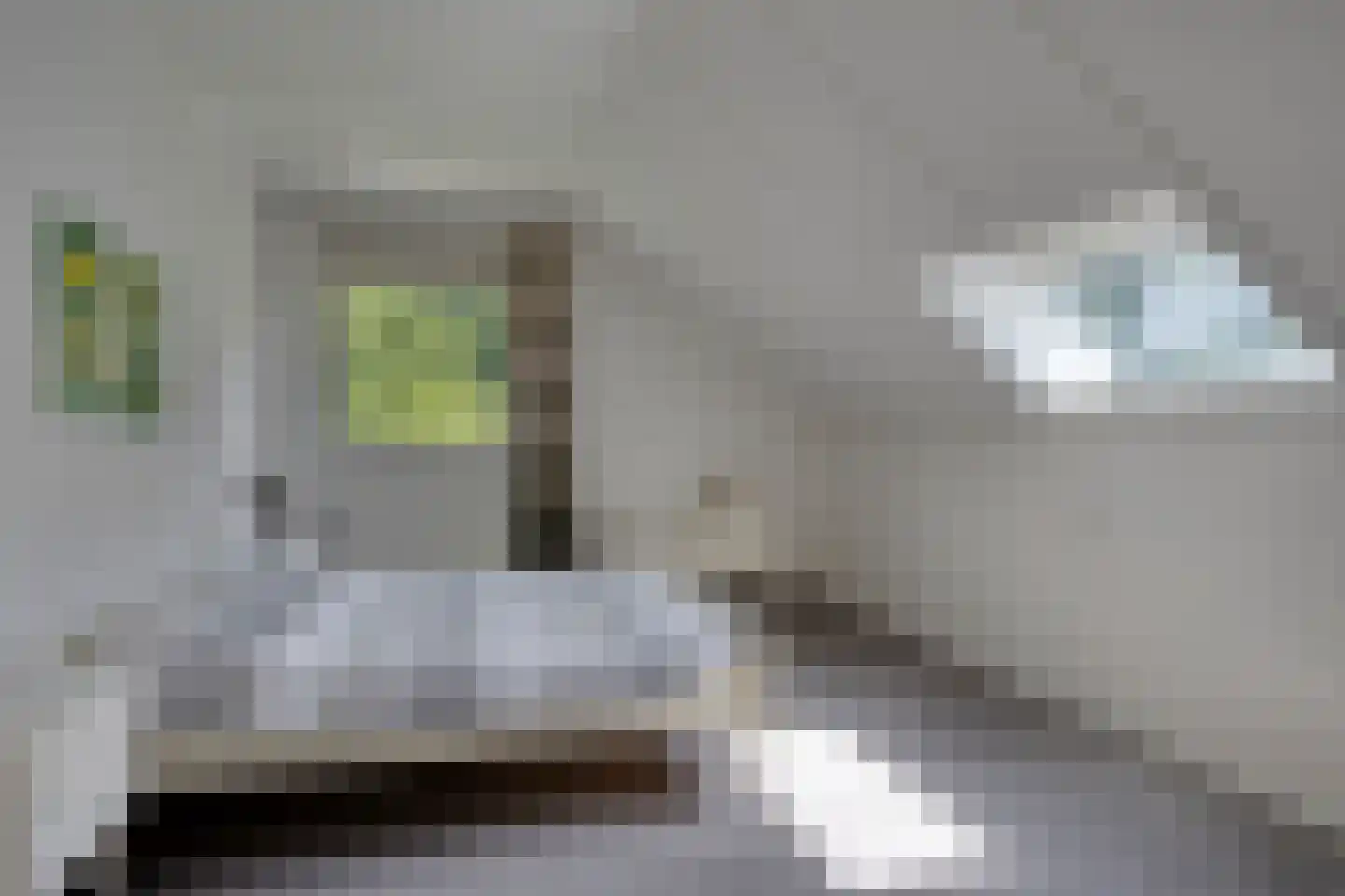 Boekanierlaan 29 Hoofddorp thumbnail 28
