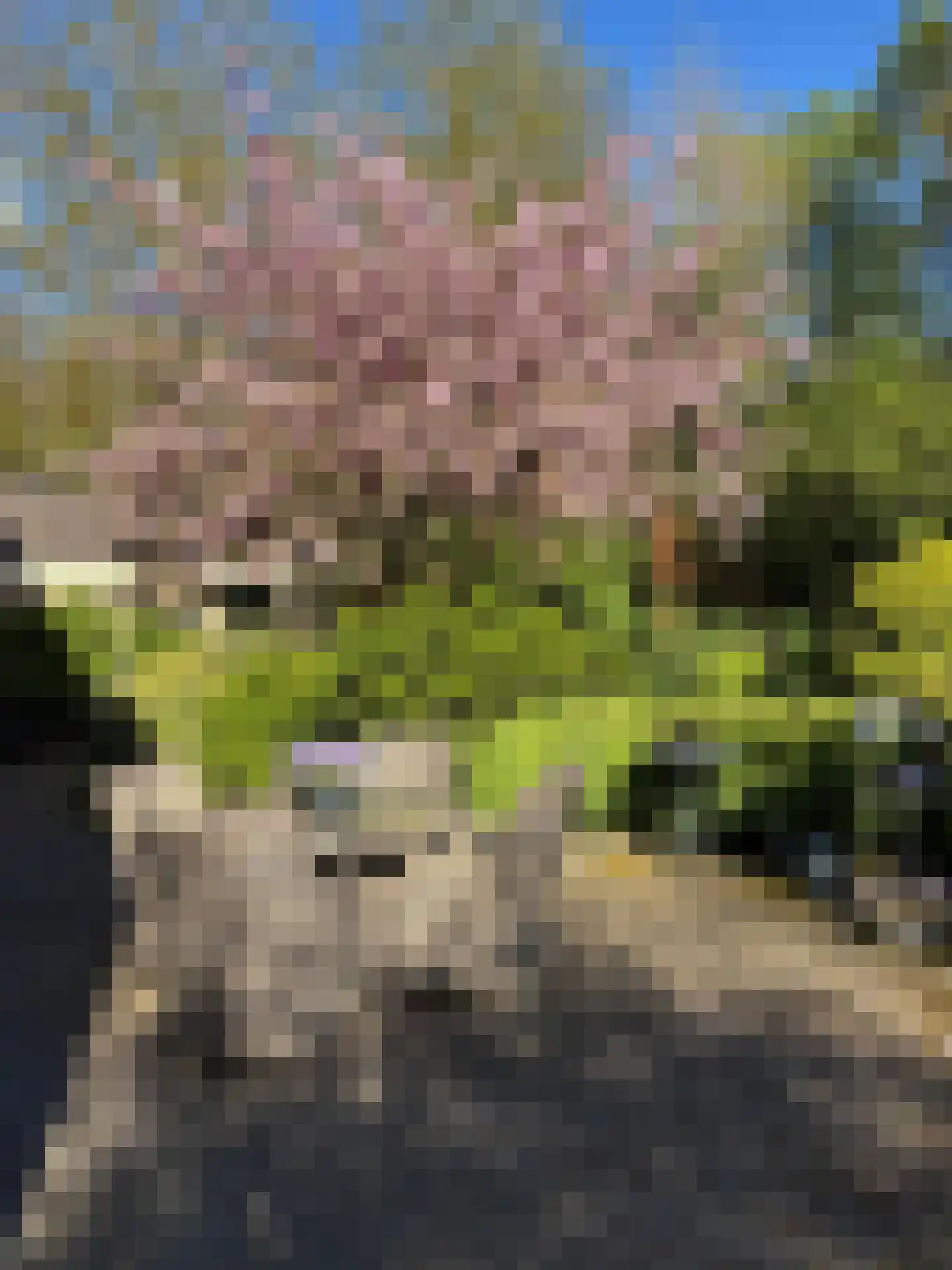 Boekanierlaan 29 Hoofddorp thumbnail 36