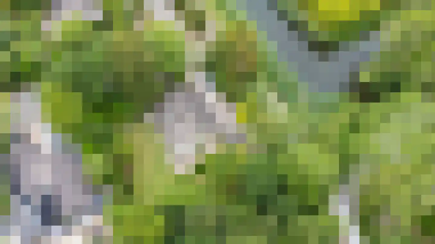Boekanierlaan 29 Hoofddorp thumbnail 39