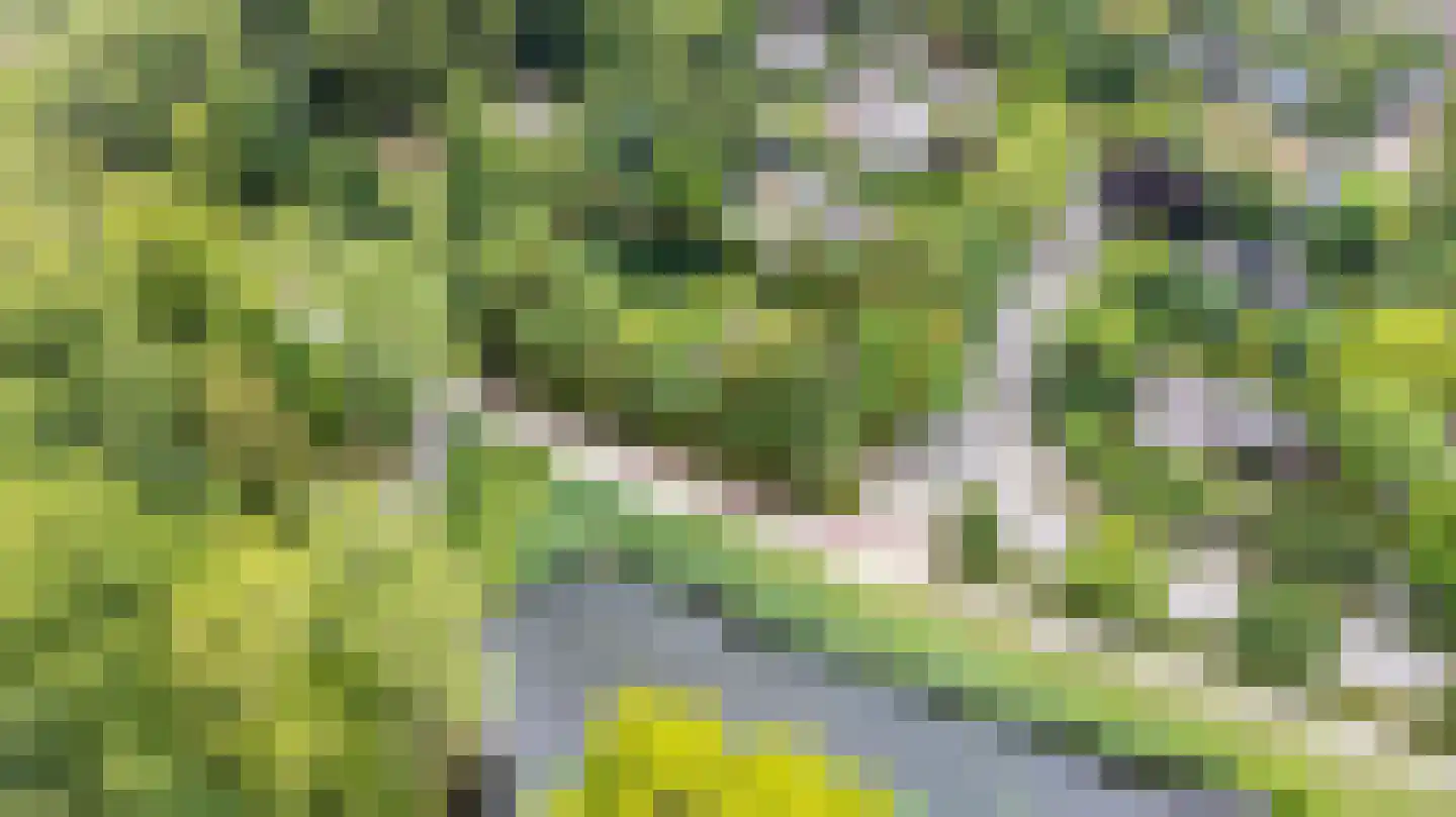 Boekanierlaan 29 Hoofddorp thumbnail 40