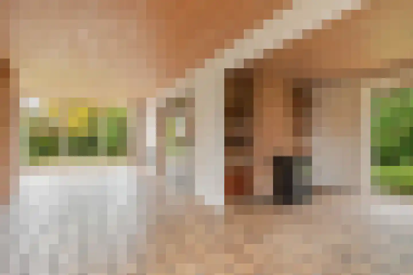 Boekanierlaan 4 Hoofddorp thumbnail 10