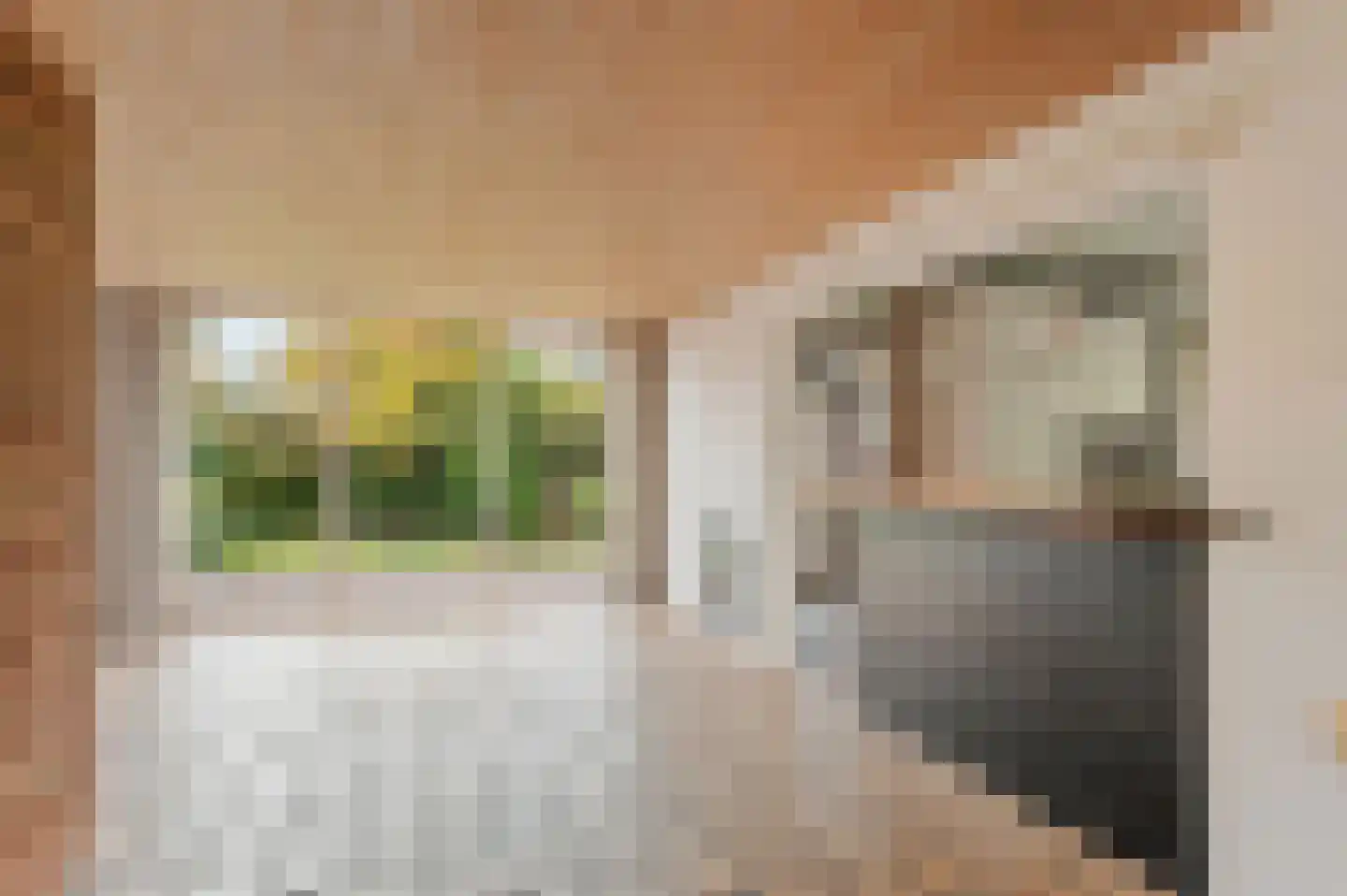 Boekanierlaan 4 Hoofddorp thumbnail 12
