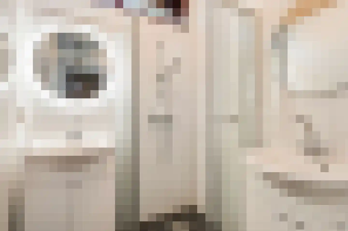 Boekanierlaan 4 Hoofddorp thumbnail 20