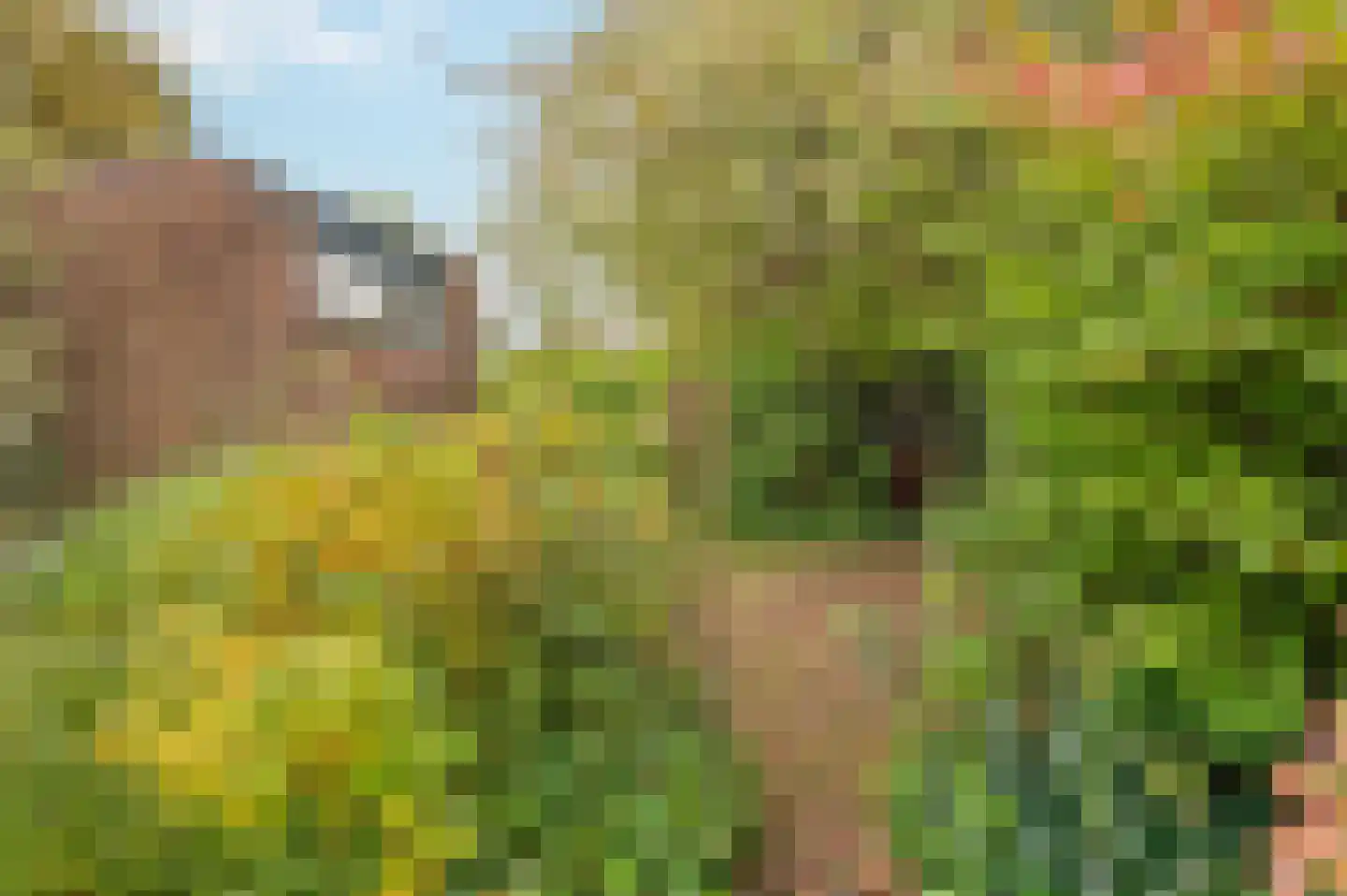 Boekanierlaan 4 Hoofddorp thumbnail 35
