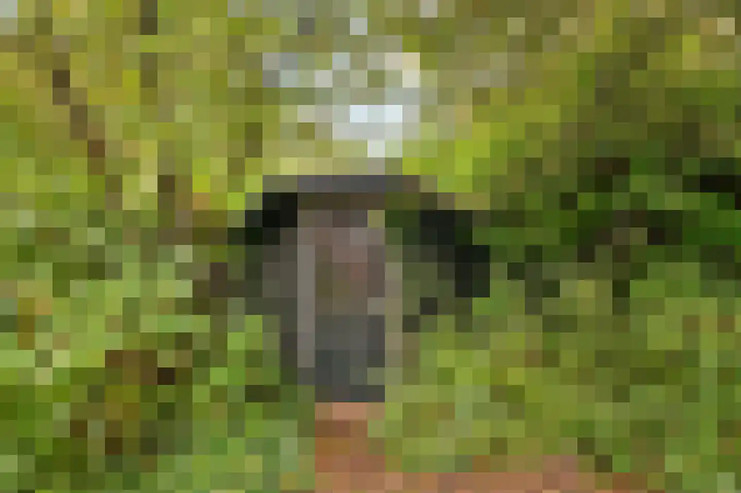 Boekanierlaan 4 Hoofddorp thumbnail 36
