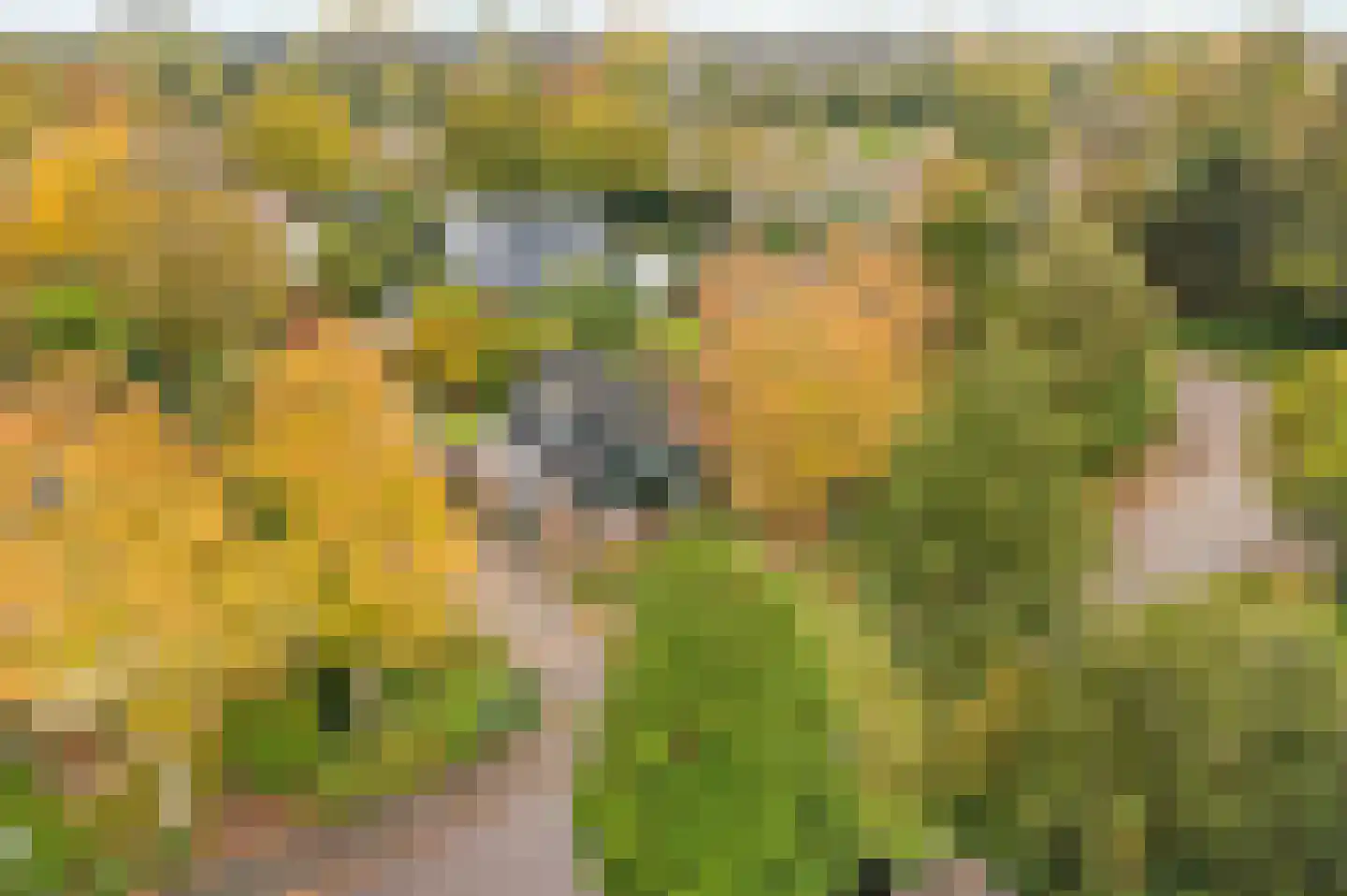 Boekanierlaan 4 Hoofddorp thumbnail 39