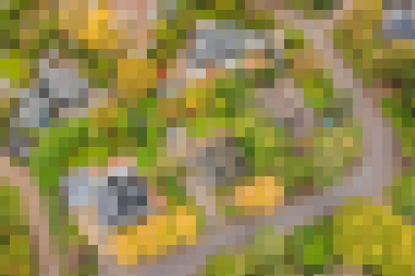Boekanierlaan 4 Hoofddorp thumbnail 8
