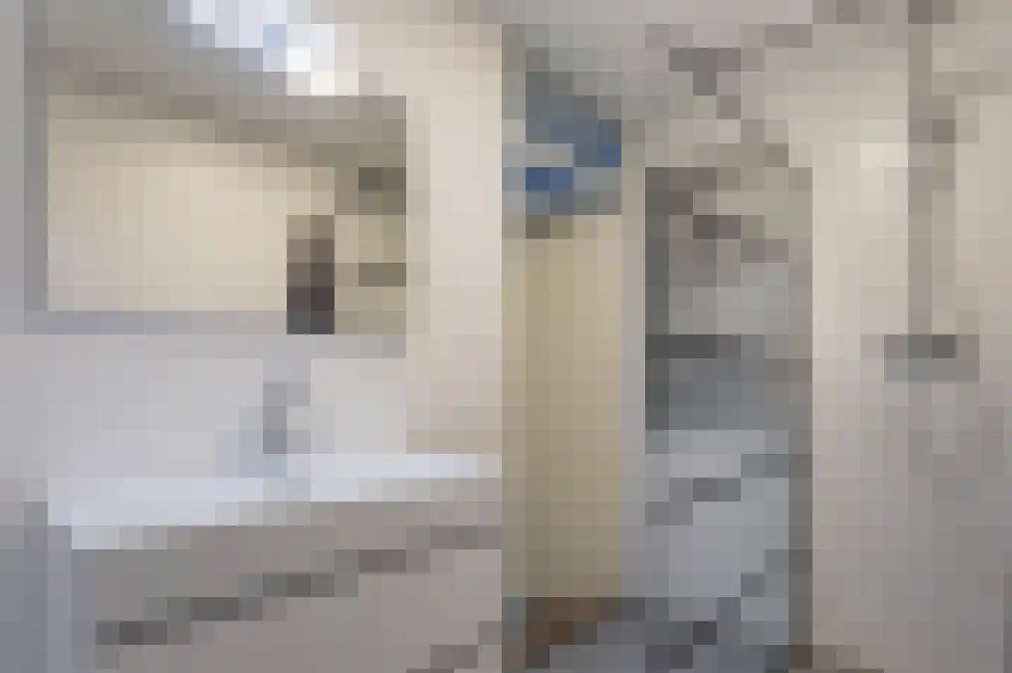 Boekarestpad 8 Den Haag thumbnail 25