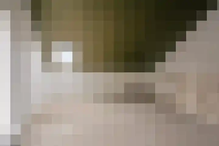 Boekbinder 10 Meppel thumbnail 28
