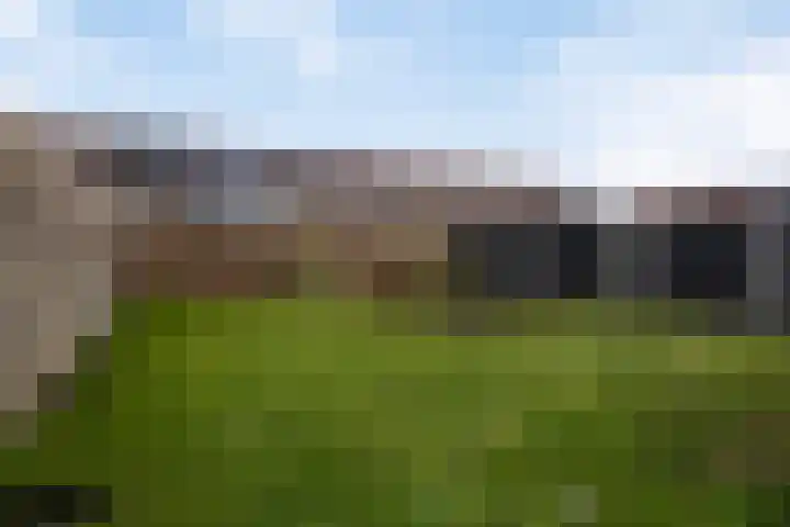 Boekbinder 10 Meppel thumbnail 30