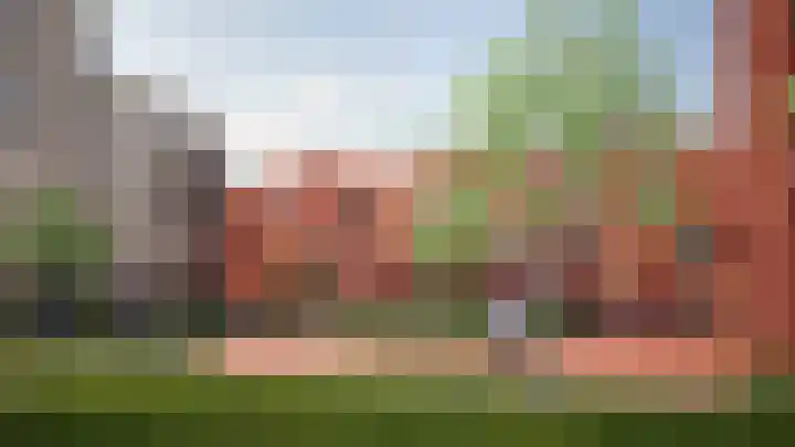 Boekbinder 15 Veenendaal thumbnail 7