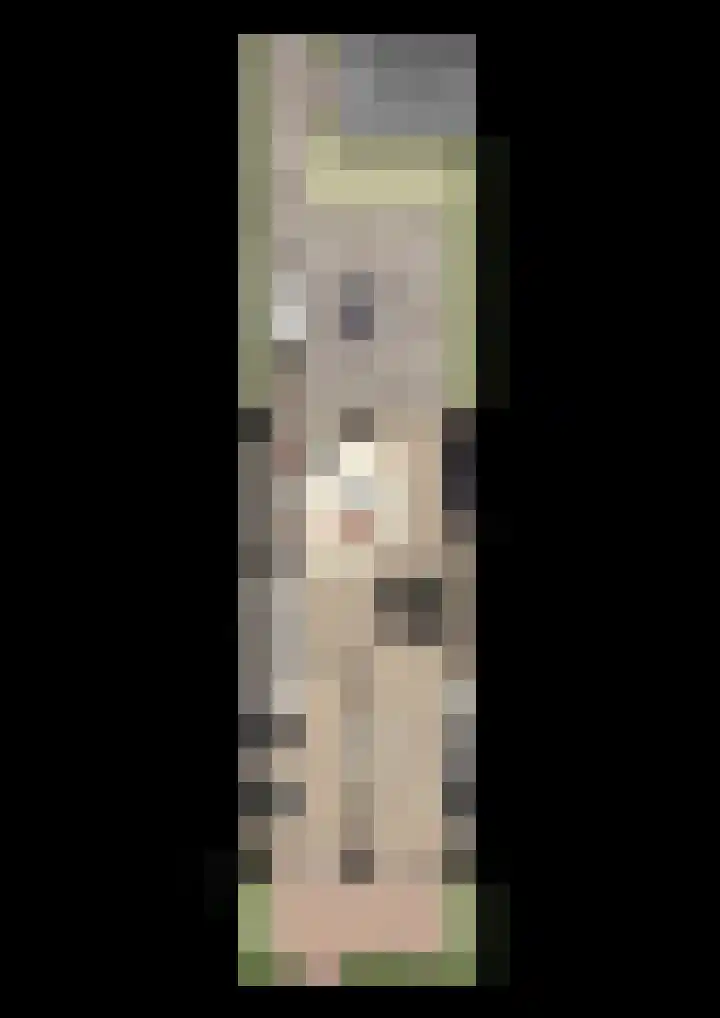 Boekbinder 5 Veenendaal thumbnail 8