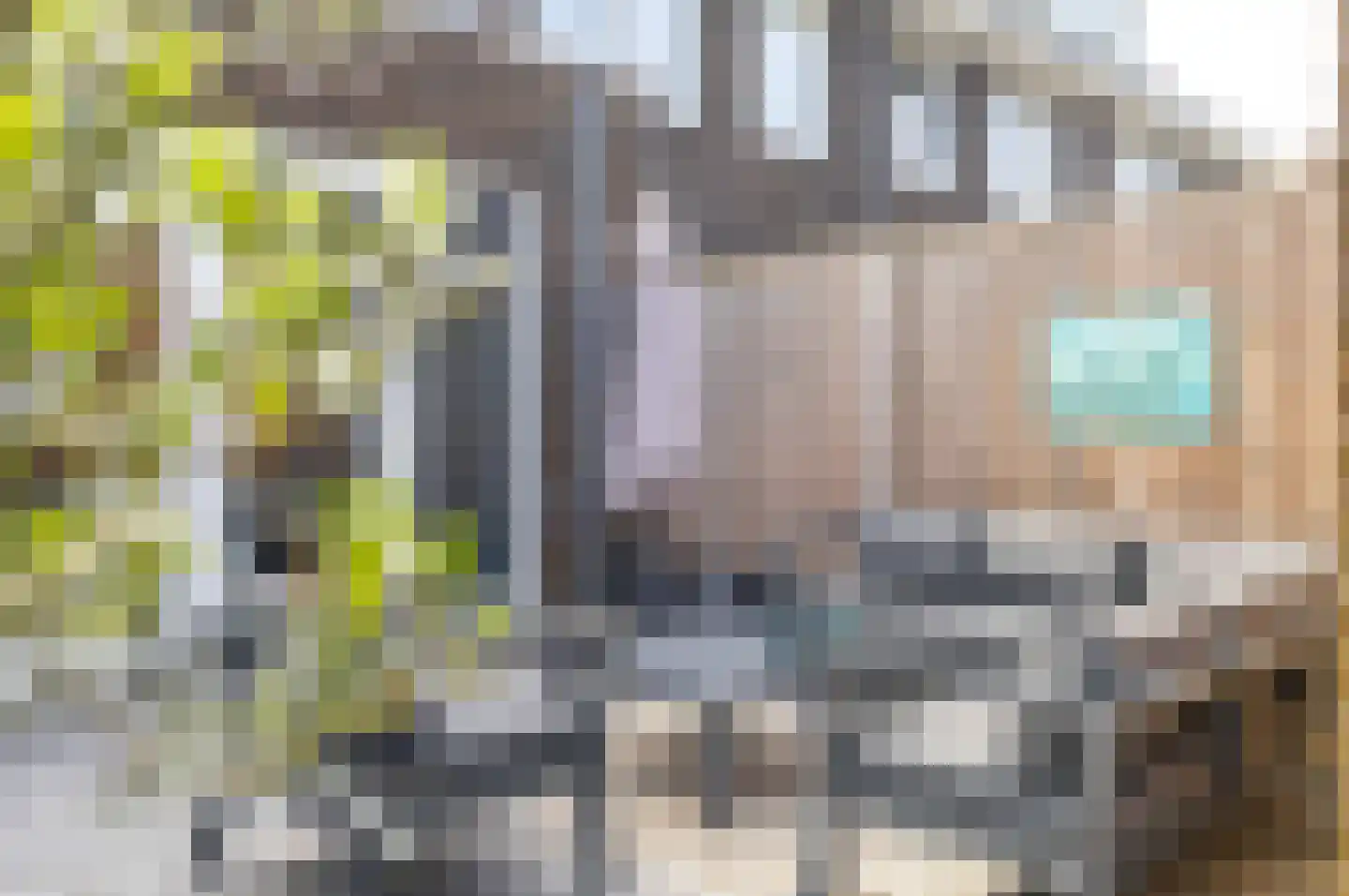 Boekbinderijstraat 8 Berkel-Enschot thumbnail 26