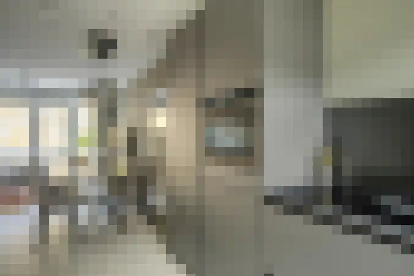 Boekbinderijstraat 8 Berkel-Enschot thumbnail 5