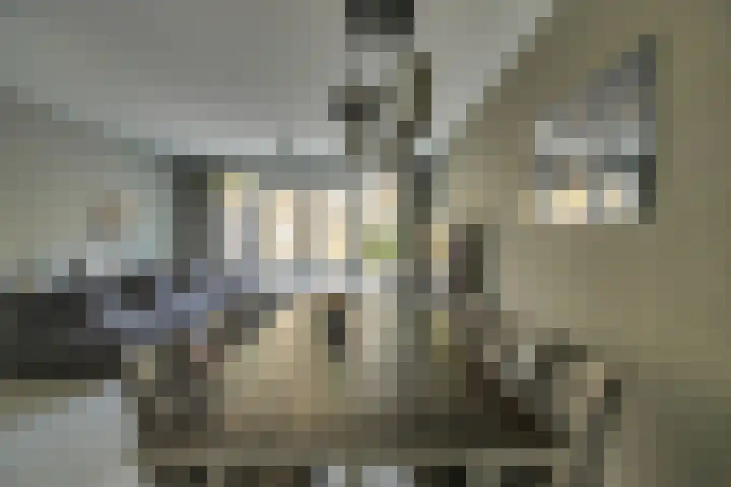Boekbinderijstraat 8 Berkel-Enschot thumbnail 6
