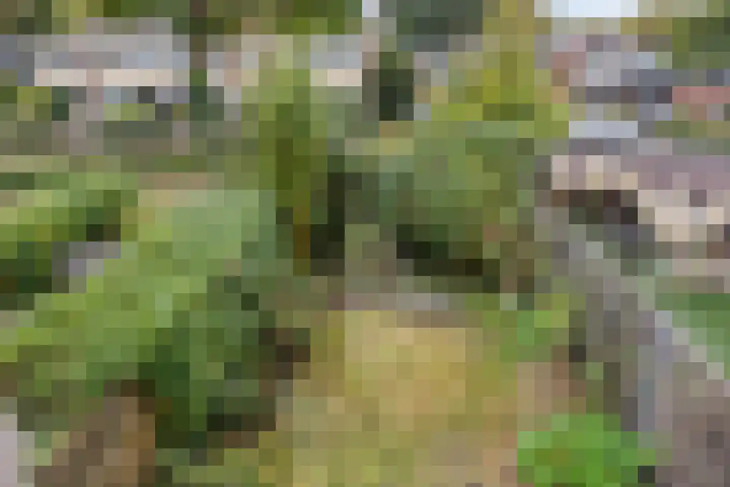 Boekbindershorst 33 Apeldoorn thumbnail 28
