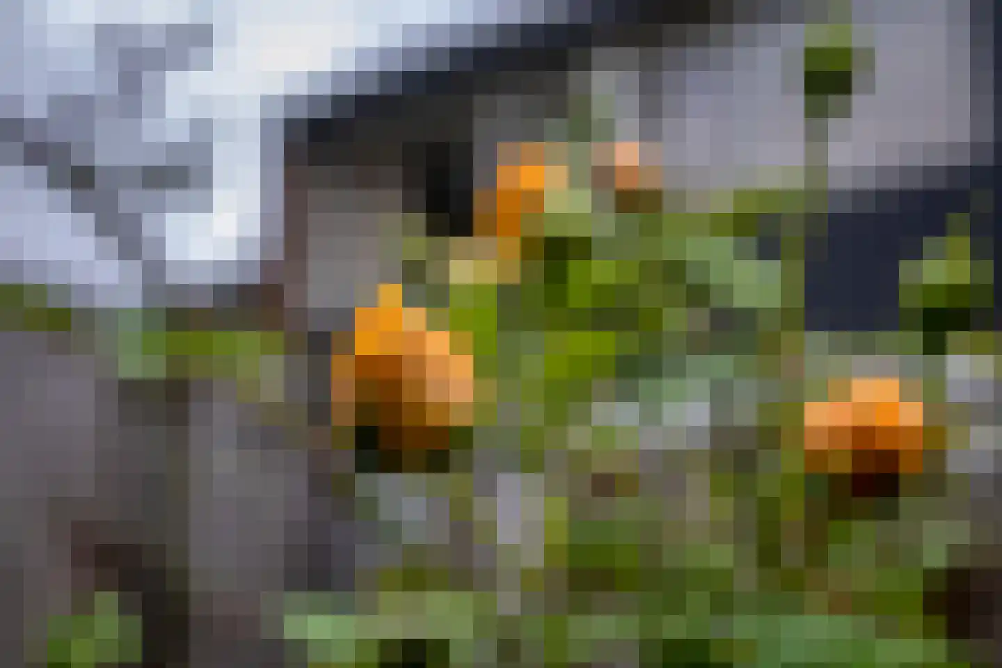 Boekbindershorst 33 Apeldoorn thumbnail 30
