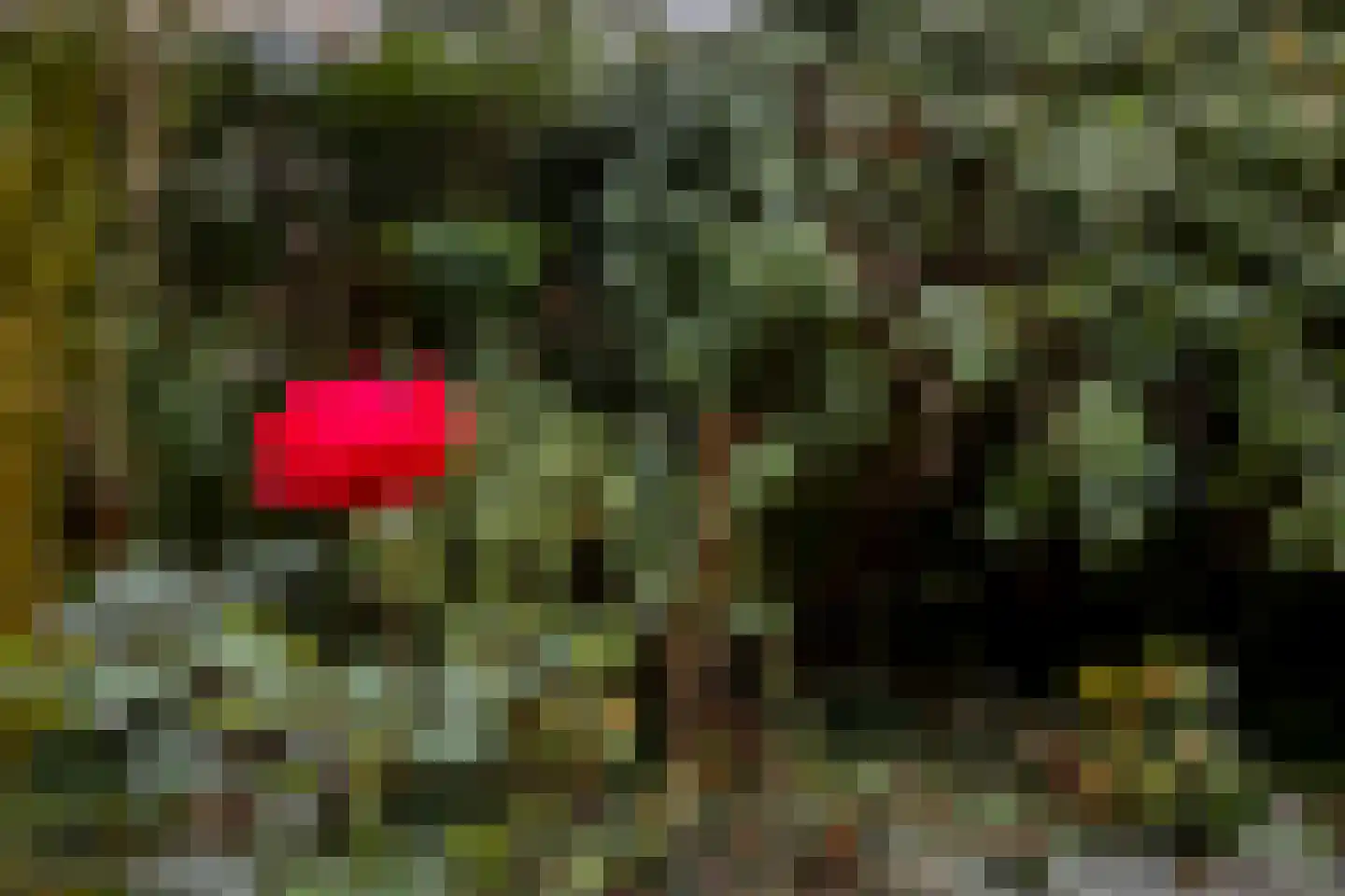 Boekbindershorst 33 Apeldoorn thumbnail 31