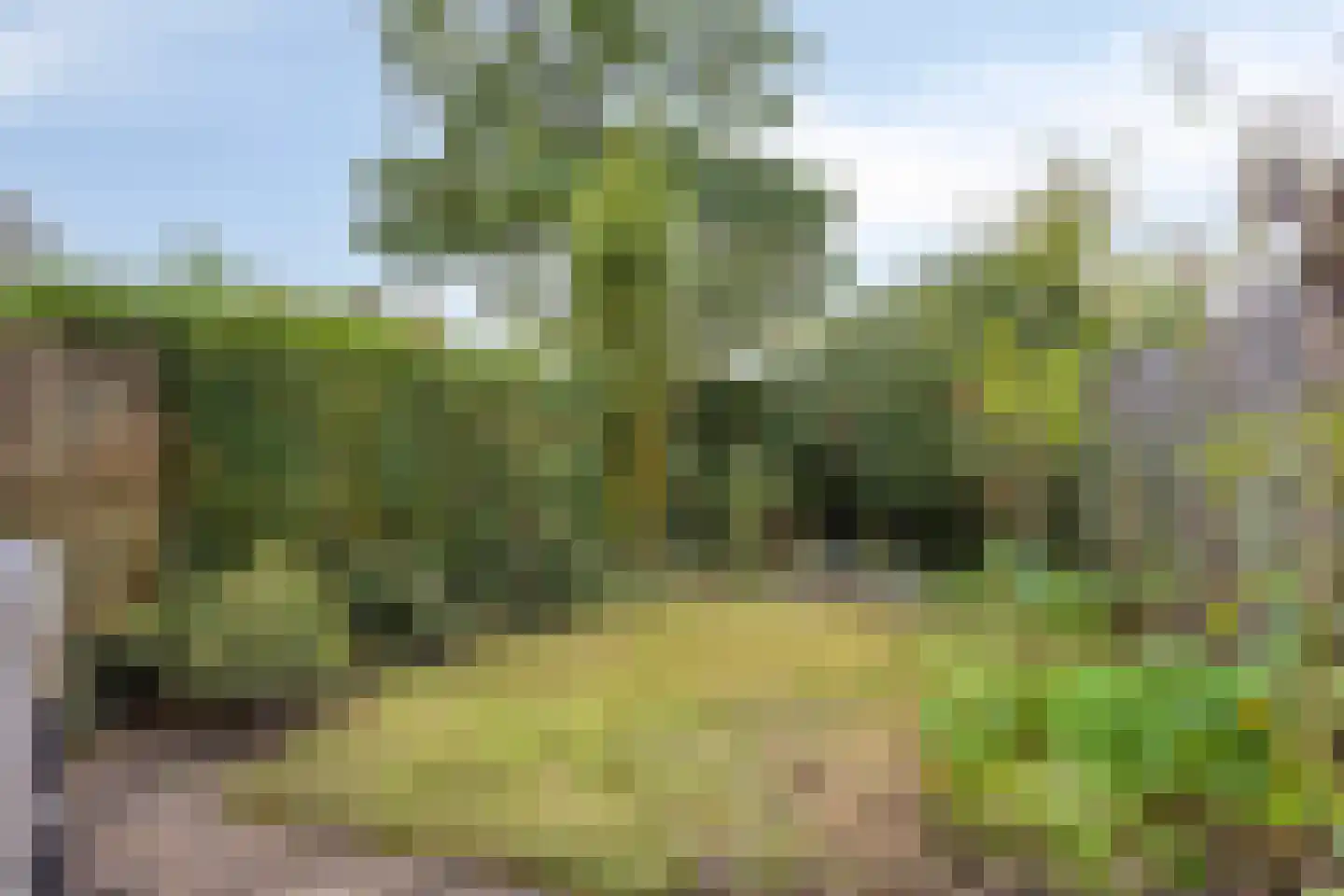 Boekbindershorst 33 Apeldoorn thumbnail 5