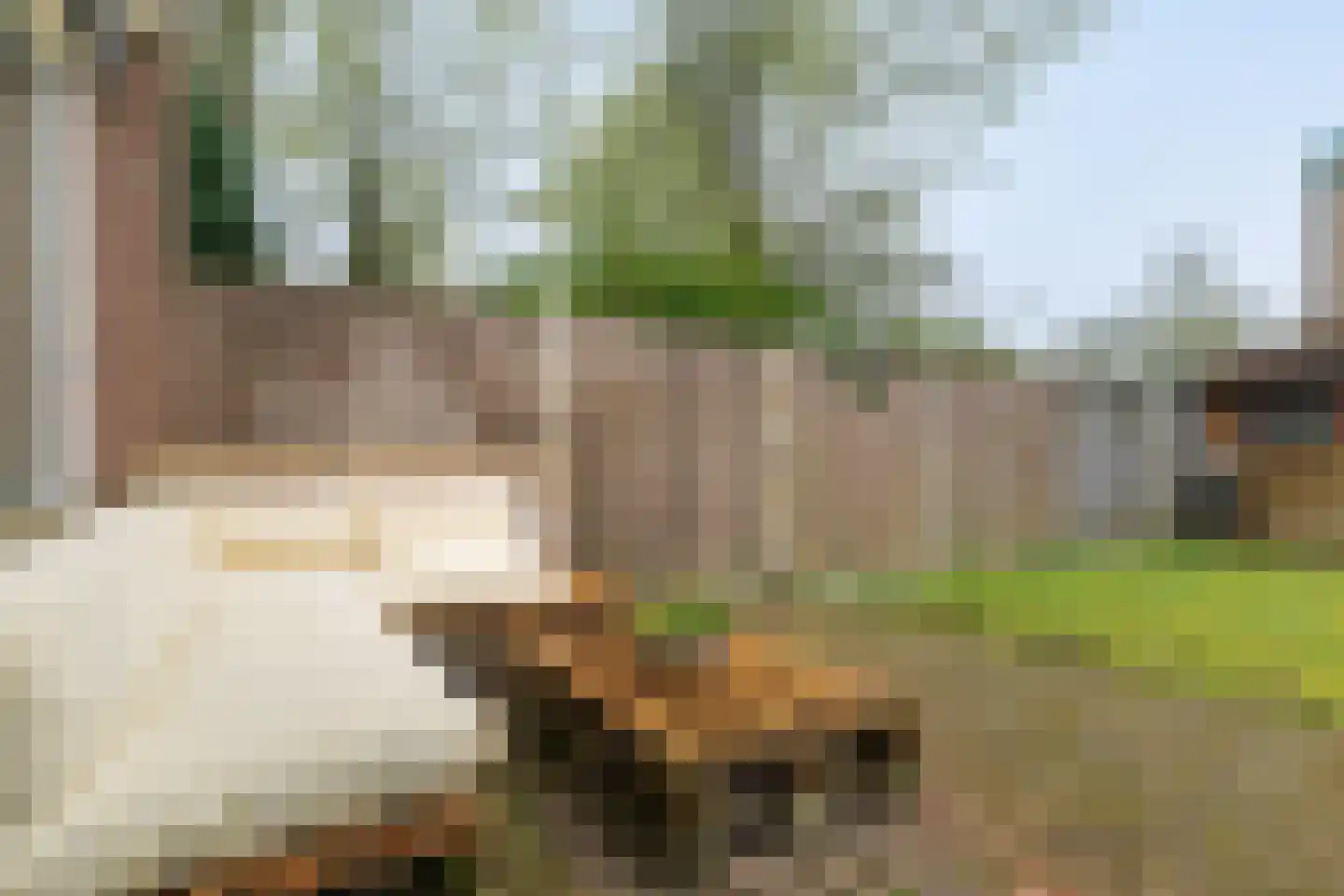 Boekbindershorst 51 Apeldoorn thumbnail 14
