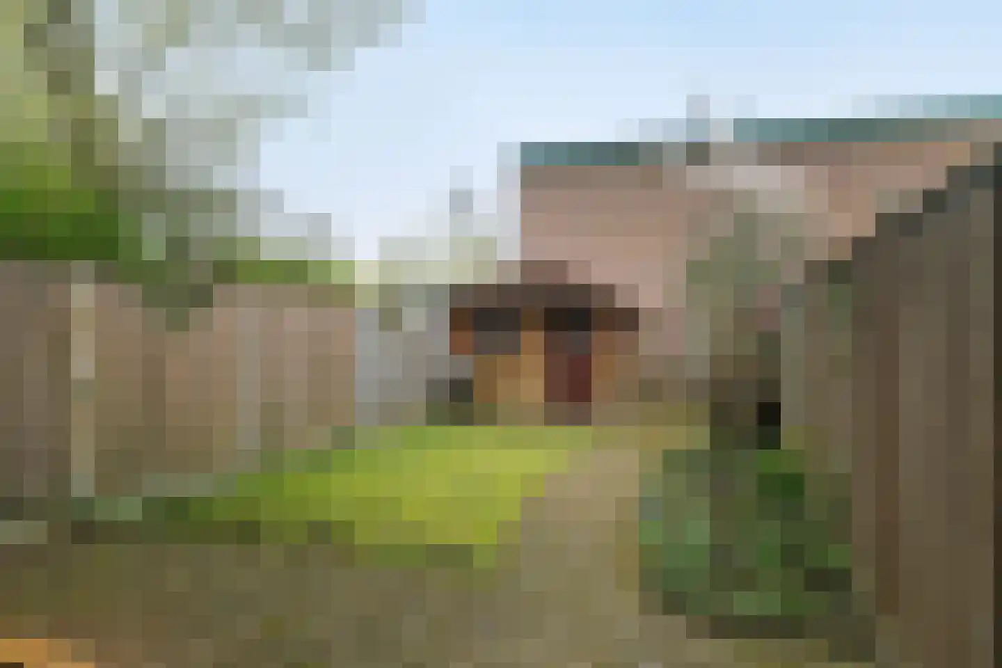 Boekbindershorst 51 Apeldoorn thumbnail 15