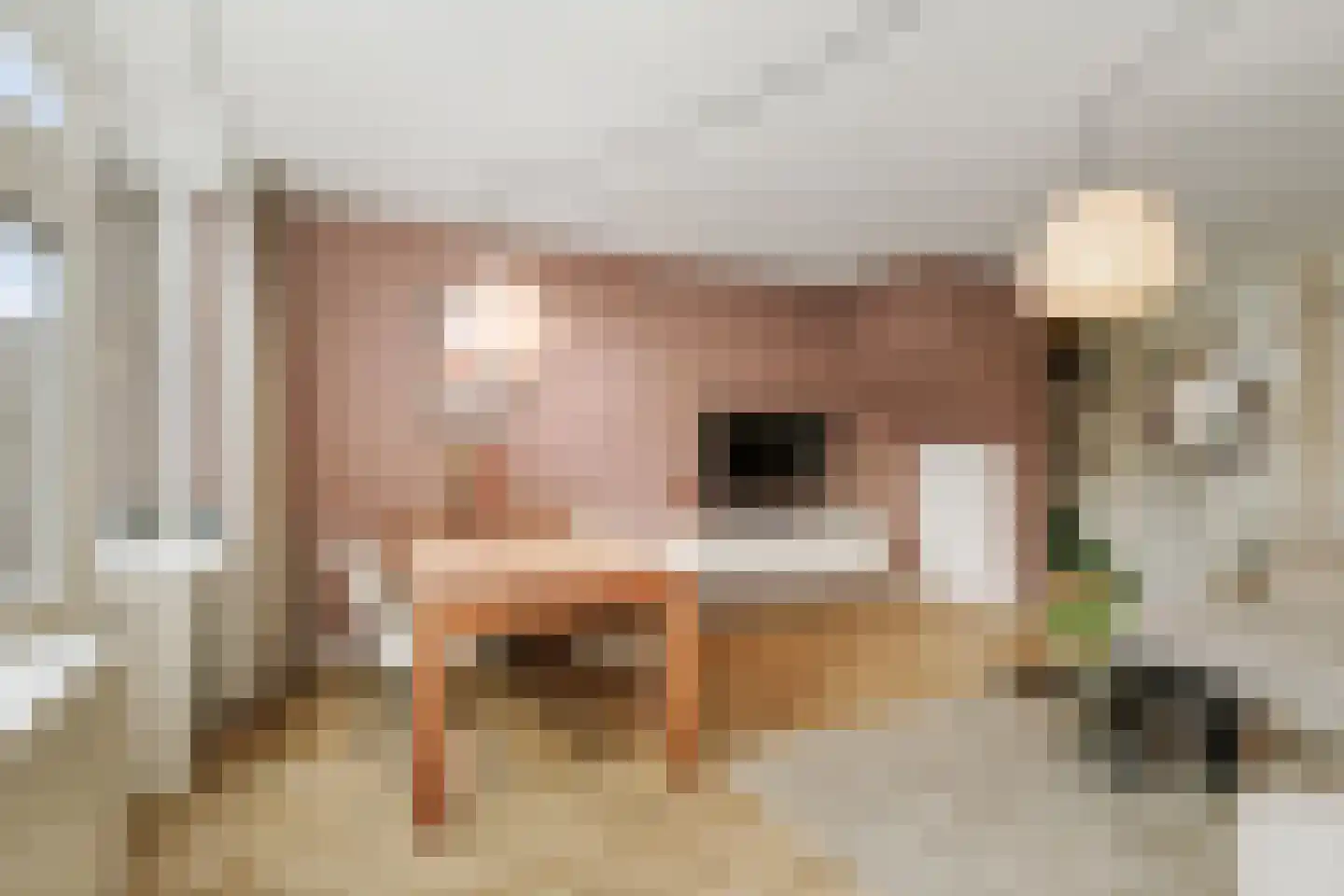 Boekbindershorst 51 Apeldoorn thumbnail 8
