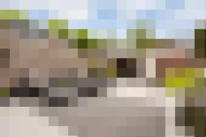 Boekbinderslaan 7 De Meern thumbnail 13