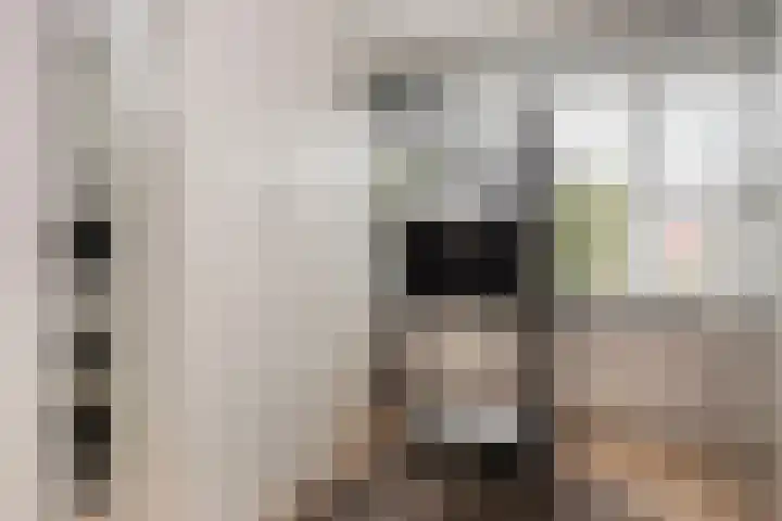 Boekbinderslaan 7 De Meern thumbnail 19