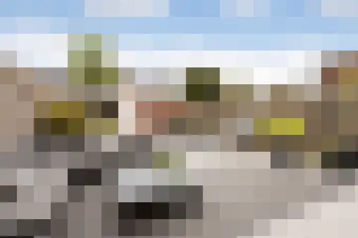Boekbinderslaan 7 De Meern foto 2