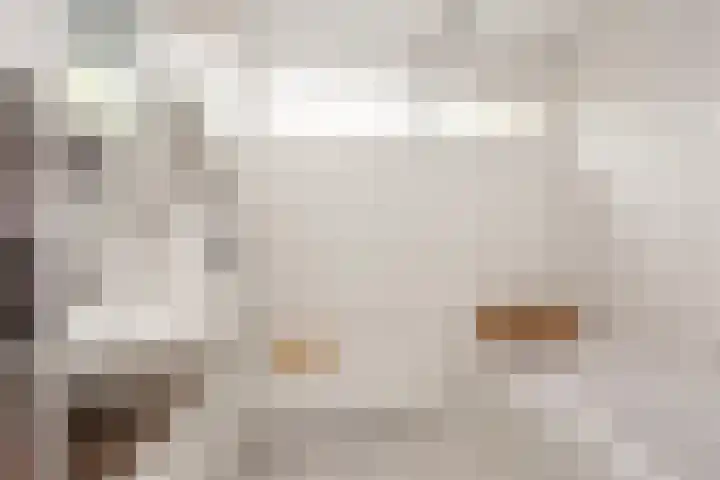 Boekbinderslaan 7 De Meern thumbnail 26