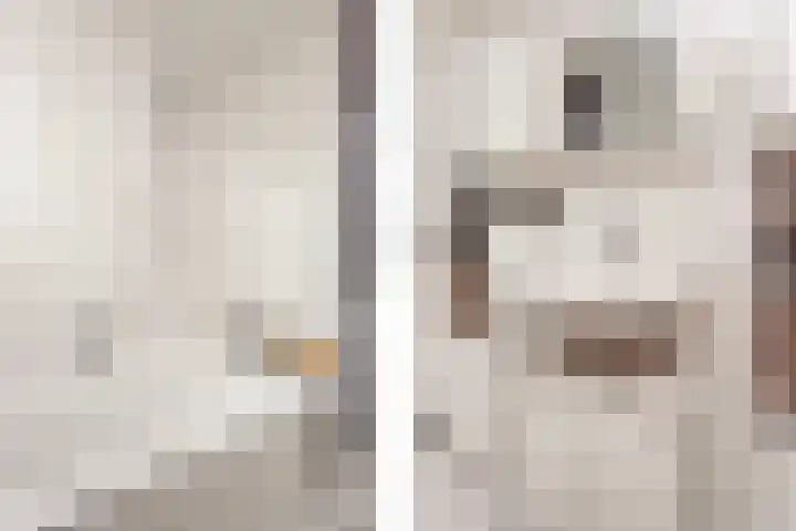 Boekbinderslaan 7 De Meern thumbnail 27
