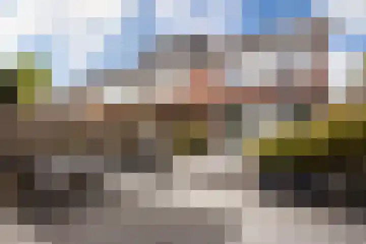 Boekbinderslaan 7 De Meern thumbnail 32