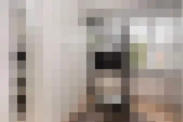 Boekbinderslaan 7 De Meern thumbnail 33