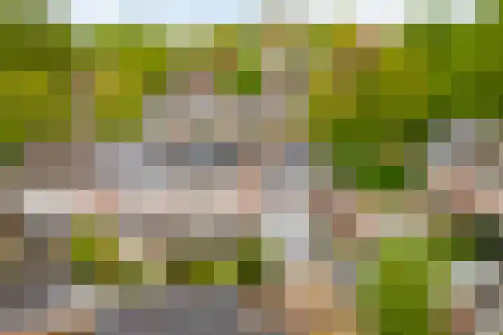 Boekbinderslaan 7 De Meern thumbnail 34