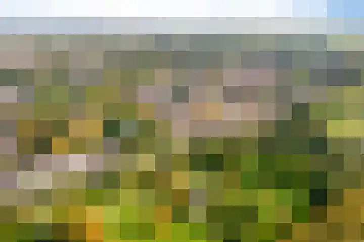 Boekbinderslaan 7 De Meern thumbnail 44