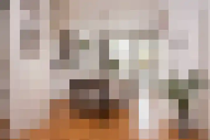 Boekbinderslaan 7 De Meern thumbnail 6