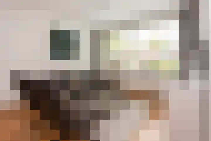 Boekbinderslaan 7 De Meern thumbnail 7