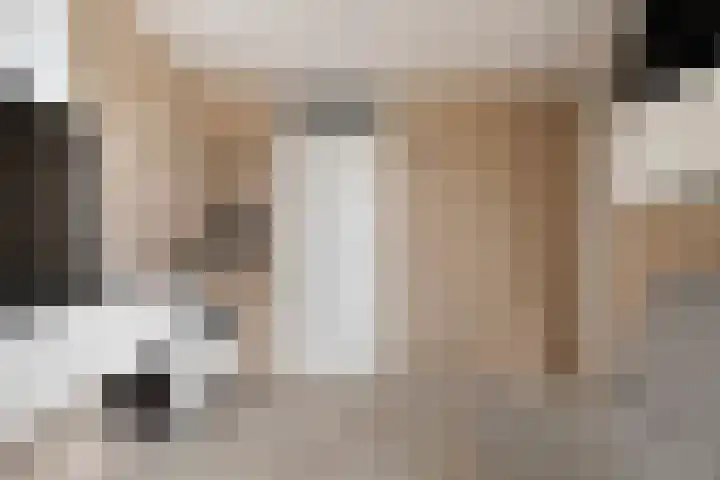 Boekbinderstraat 33 Zwolle thumbnail 10