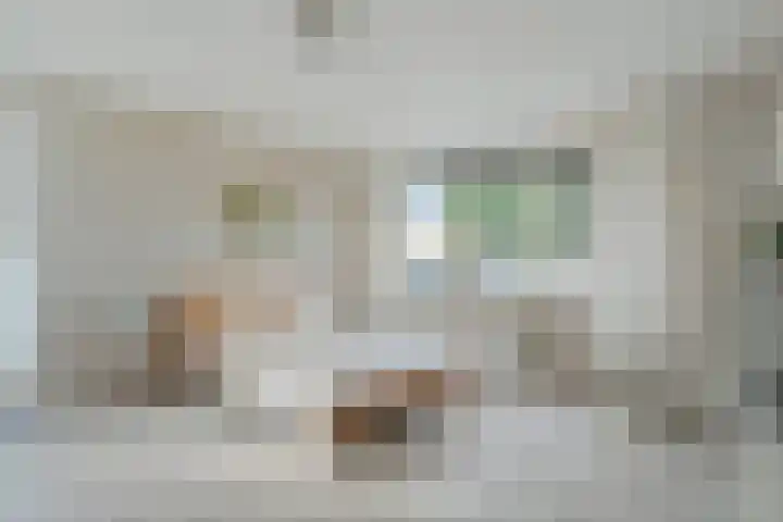 Boekbinderstraat 33 Zwolle thumbnail 15