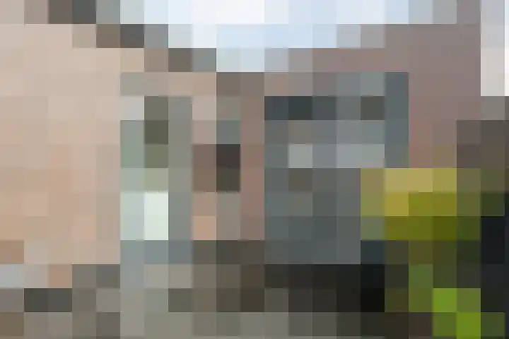 Boekbinderstraat 33 Zwolle thumbnail 21
