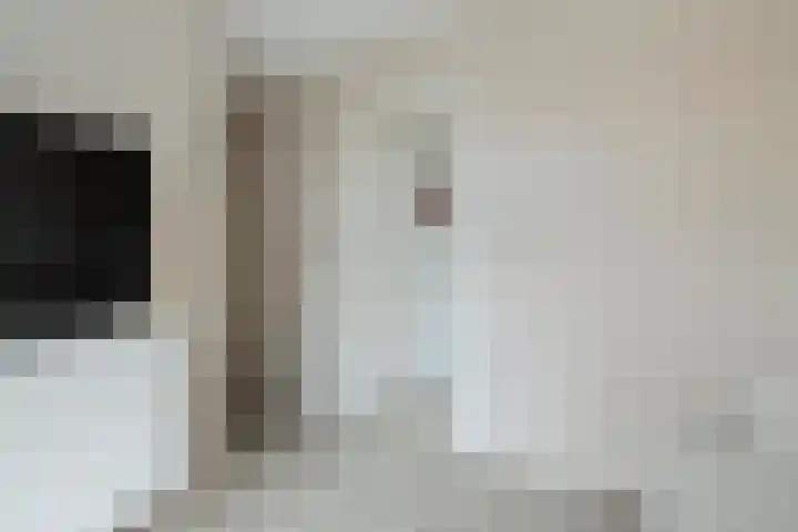 Boekbinderstraat 33 Zwolle thumbnail 22