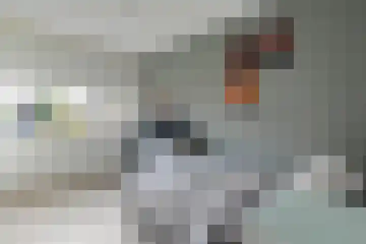 Boekbinderstraat 33 Zwolle thumbnail 23