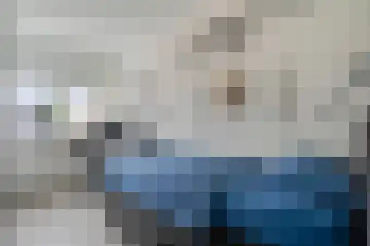 Boekbinderstraat 33 Zwolle thumbnail 25